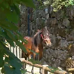 Casa Do Mercador شقة Real de Cima
