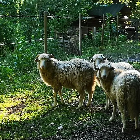 Casa Do Mercador Apartment Real de Cima