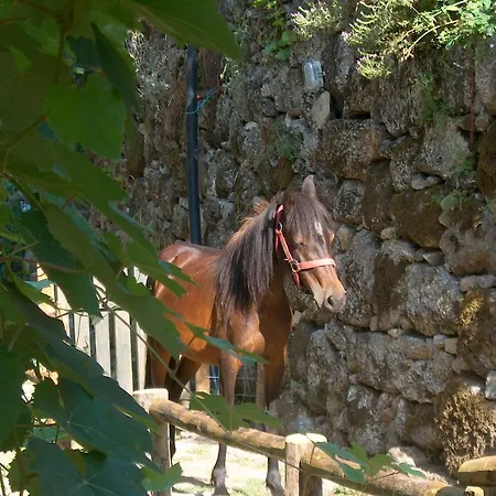 Casa Do Mercador Apartmán Real de Cima
