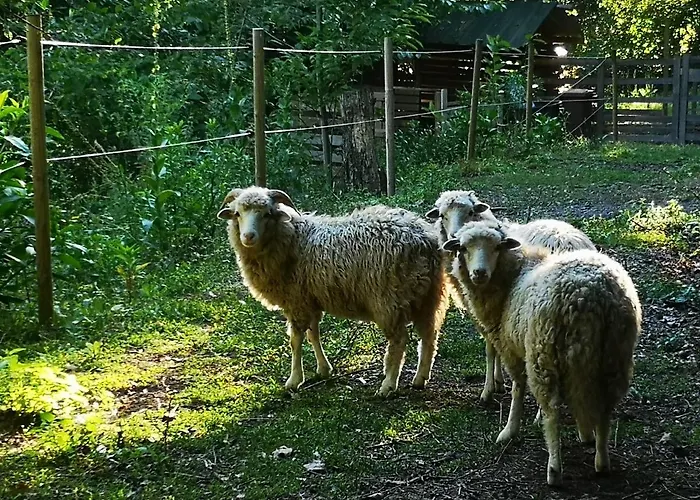 Casa Do Mercador Διαμέρισμα Real de Cima