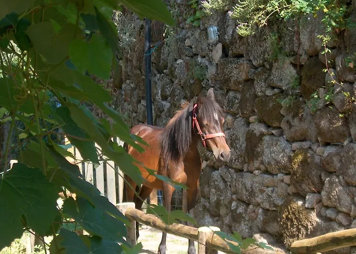 Casa Do Mercador Διαμέρισμα Real de Cima